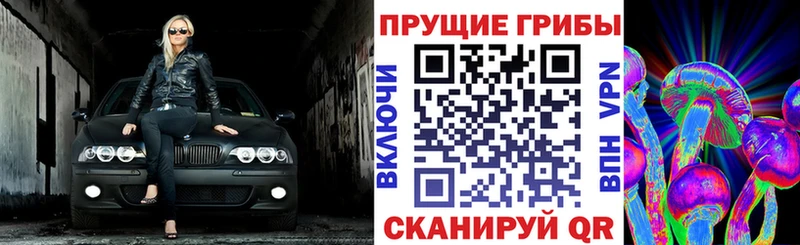 дарнет шоп Зеленогорск Галлюциногенные грибы прущие грибы
